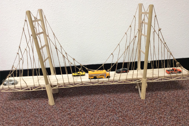 bridge model